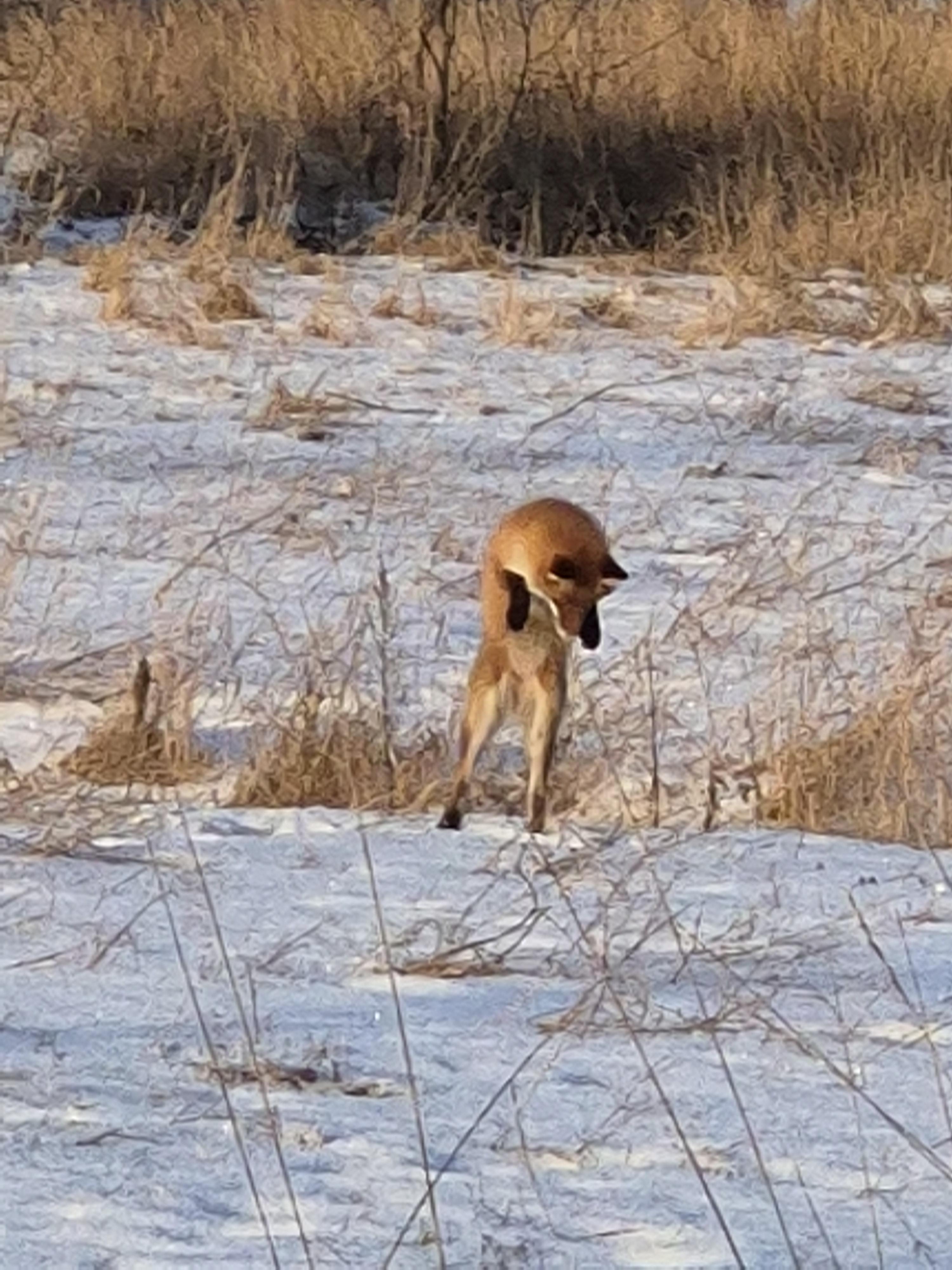 inbound4396717906488440639