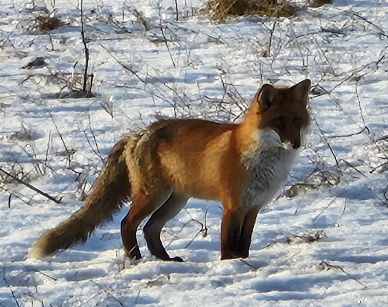 inbound5507984675296159184