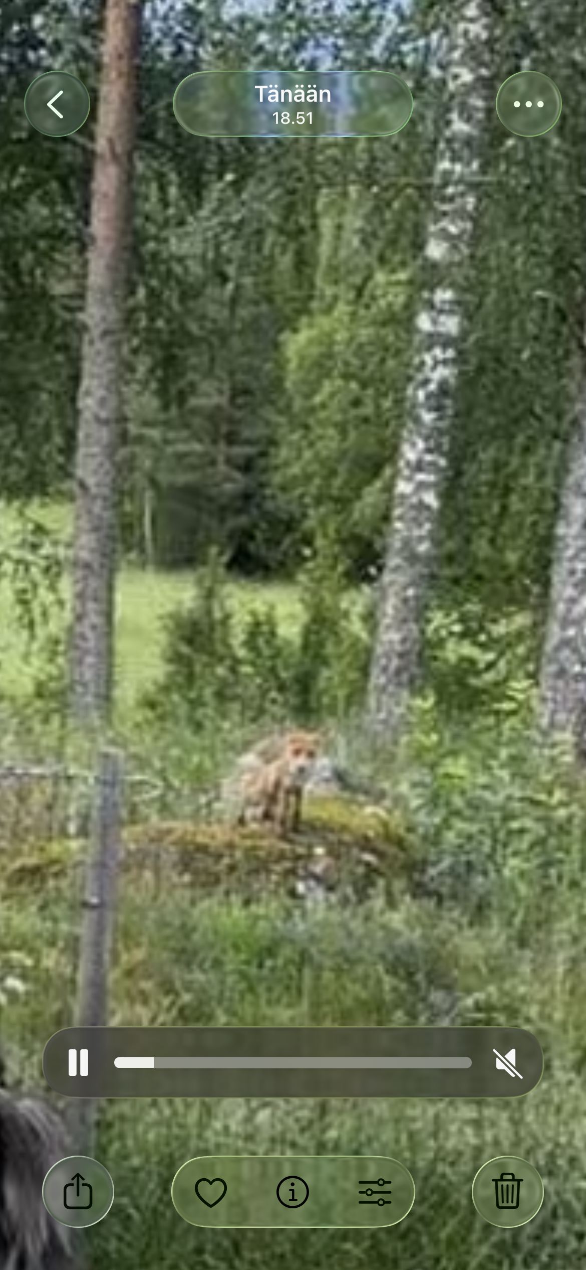 IMG_0095